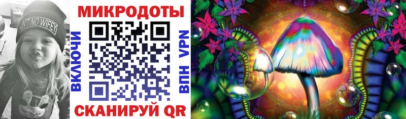 купить закладку  Калуга  Псилоцибиновые грибы GOLDEN TEACHER 